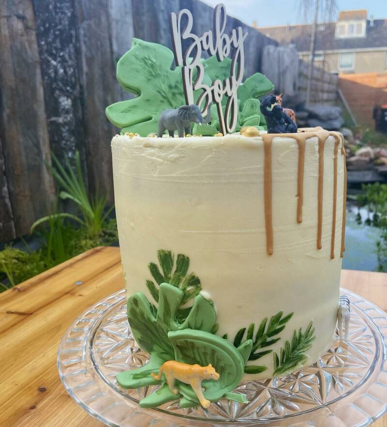 baby boy jungle theme