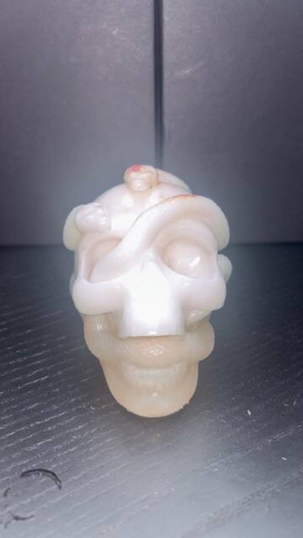 Crâne Baby serpent