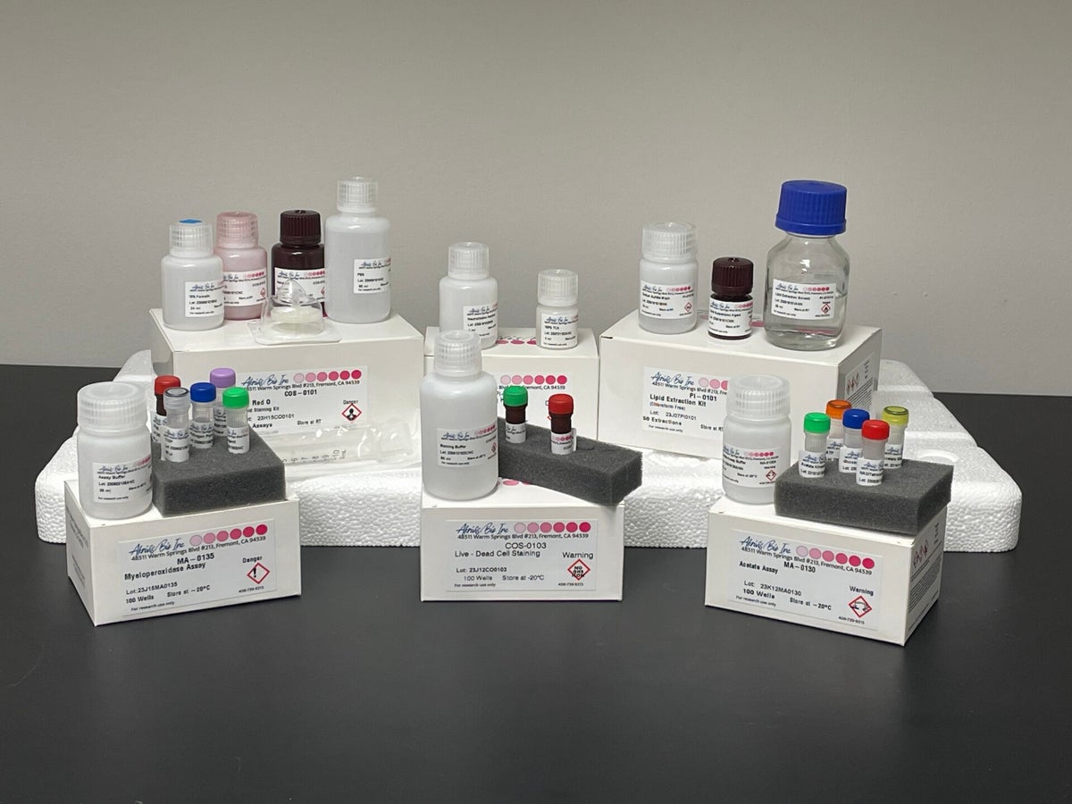 l carnitine assay kit Metabolic Assays / Assays