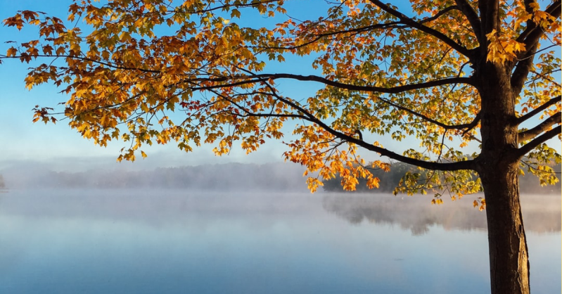 fotograferen in de herfst