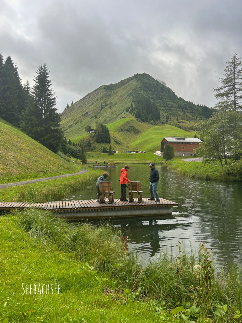 lago seebachsee warth voralberg austria