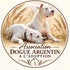 Dogue Argentin à l Adoption