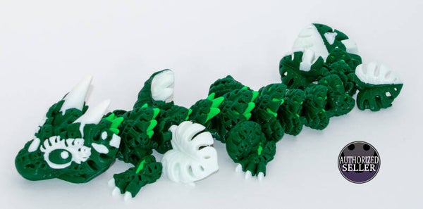 Monstera Dragon