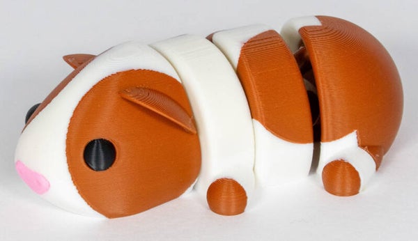 Guinea Pig