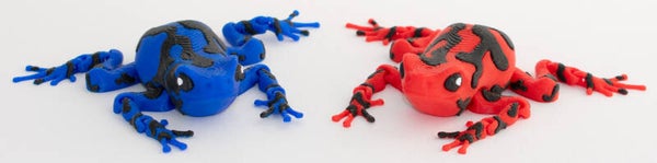 Dart Frog