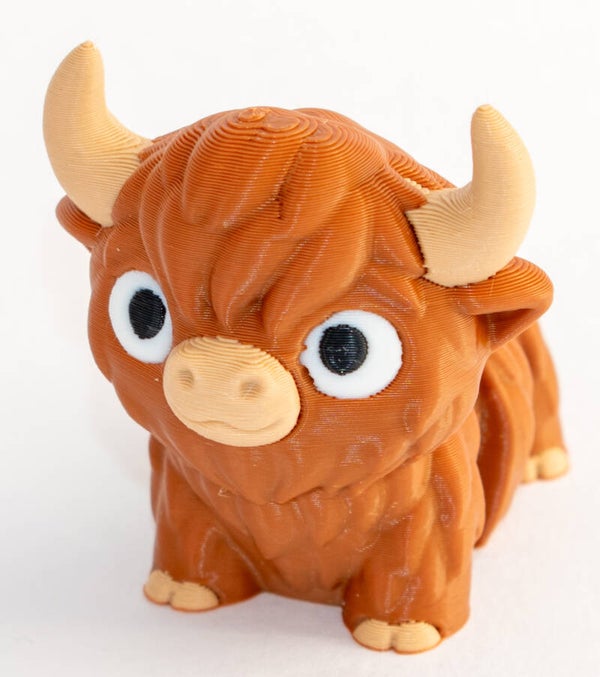 Chunky Highland Cow