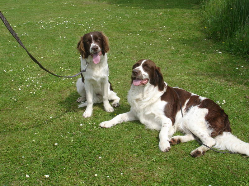 Hannes Hay v.d. Sebastiaanshoeve