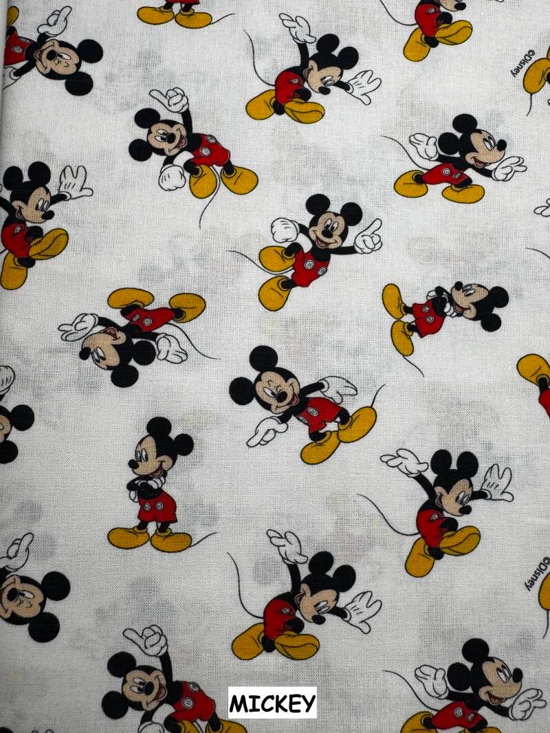 mickey-standard-09wgia.jpg