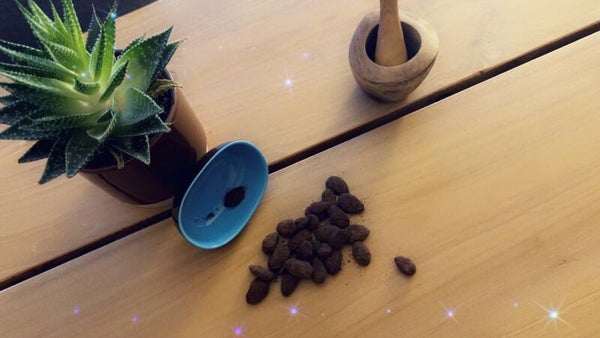 Amande chocolat (100g)