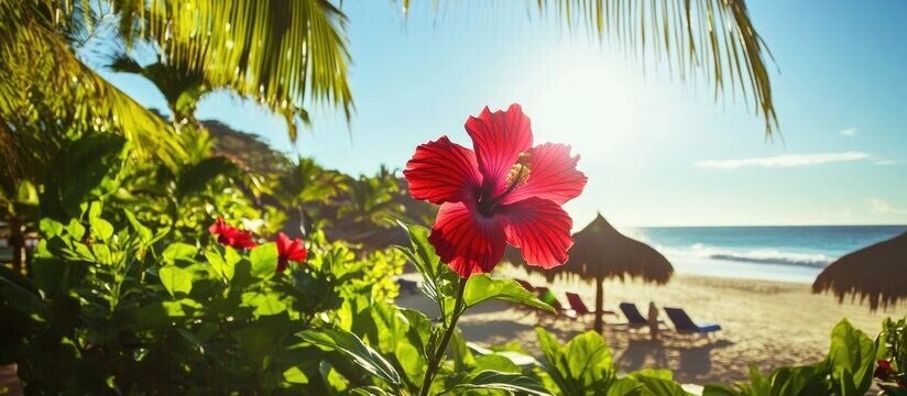 soins-energetiques-dtma-gestion-stress-traumatisme-soin-quantique-poitiers