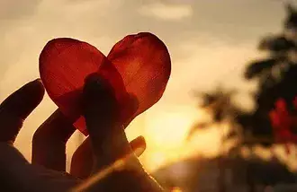 soin reiki soin énergétique magnétisme