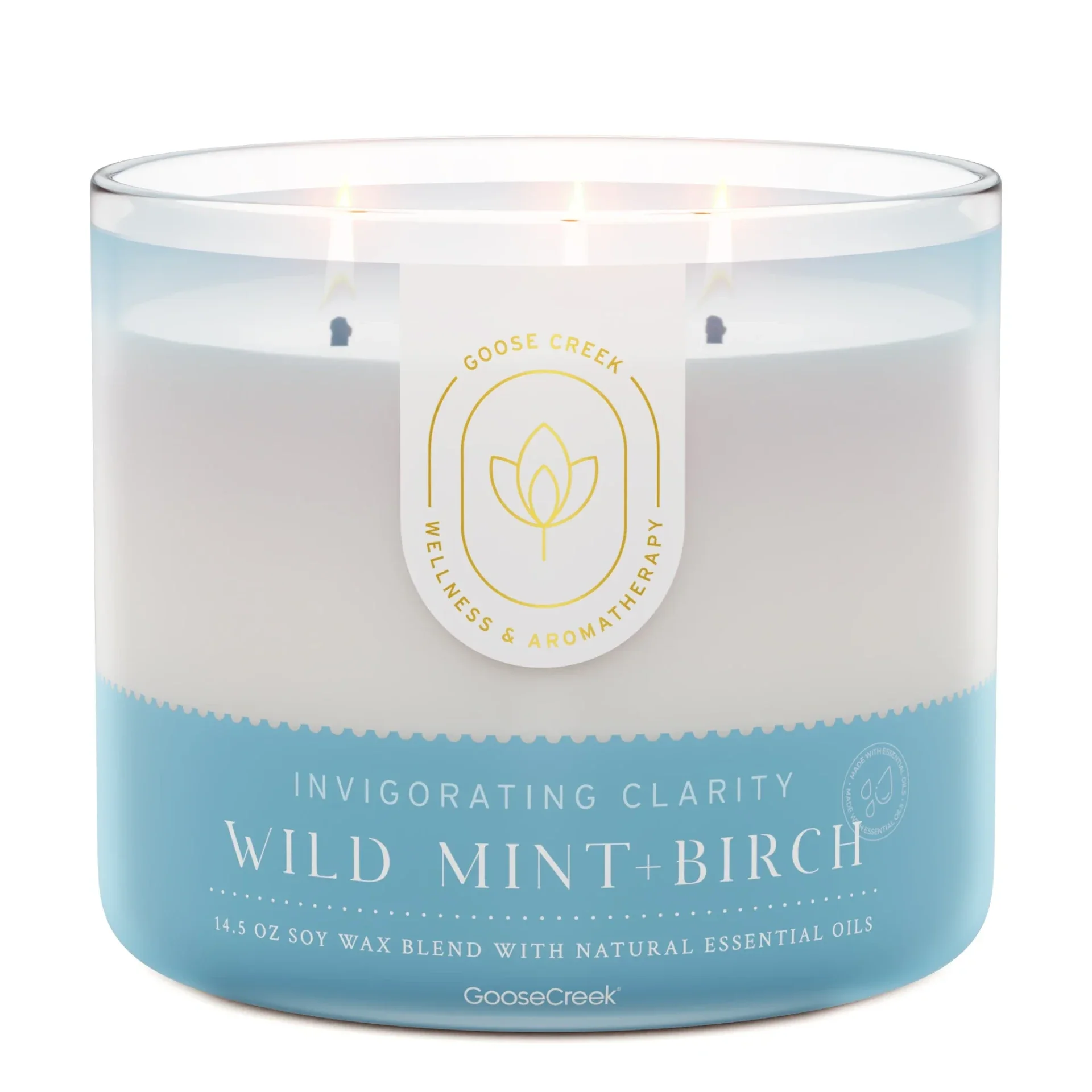 Wild Mint & Birch Aromatherapy 3-Wick Candle