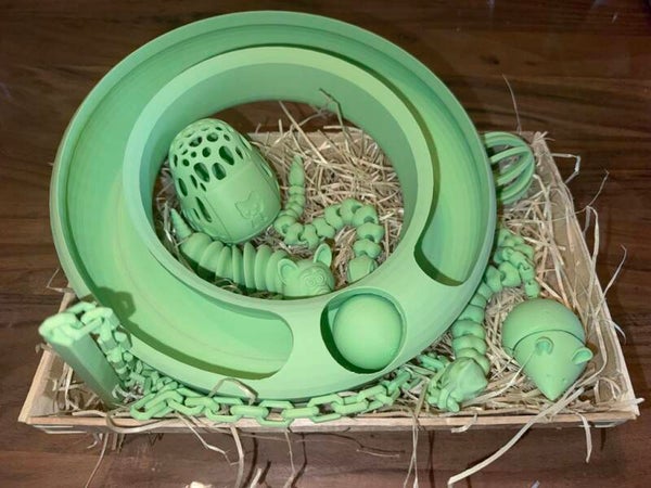 kit pour chaton et chat