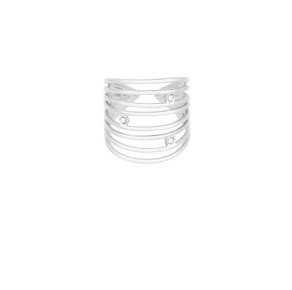 Zilvere dubbel ring diamantjes