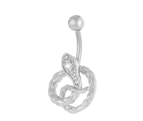 Zilver slang
