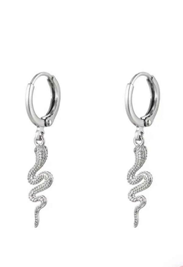 Zilver slangen ringetjes.