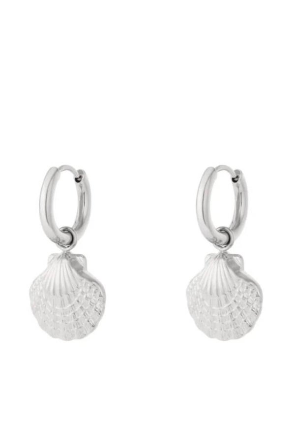 Zilver schelpen oorbelletjes