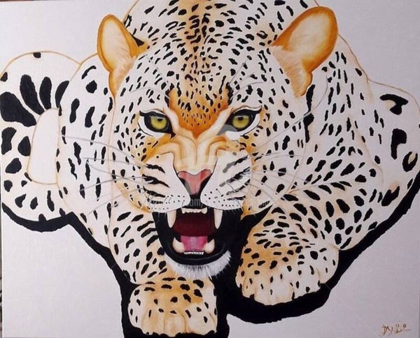 LEOPARD FELIDAE