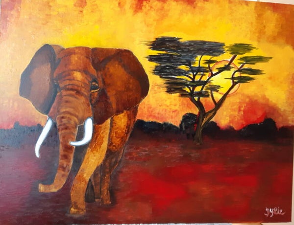 Terre d'Afrique