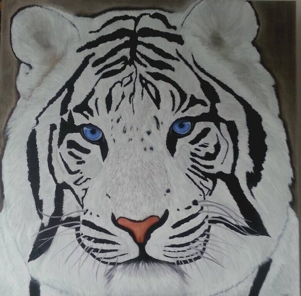 TIGRE BLANC