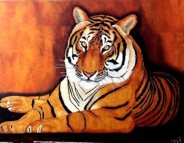 TIGRE "Mevy"