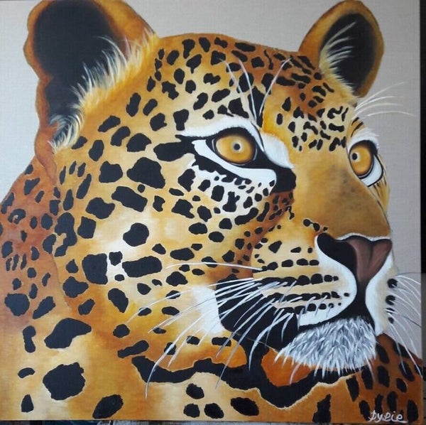 PANTHERE (Bagheera"
