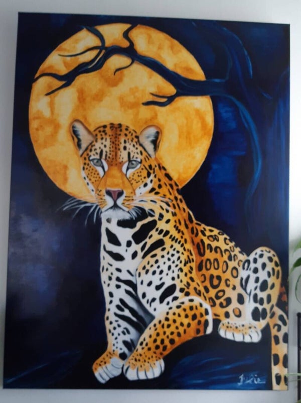 La pleine lune et le LEOPARD