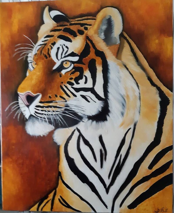 Sa Majesté LE TIGRE