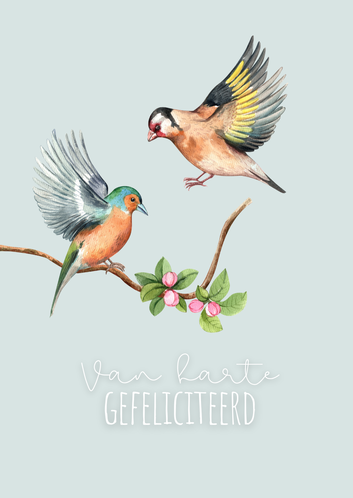 Van harte gefeliciteerd (vogeltjes, blauw)