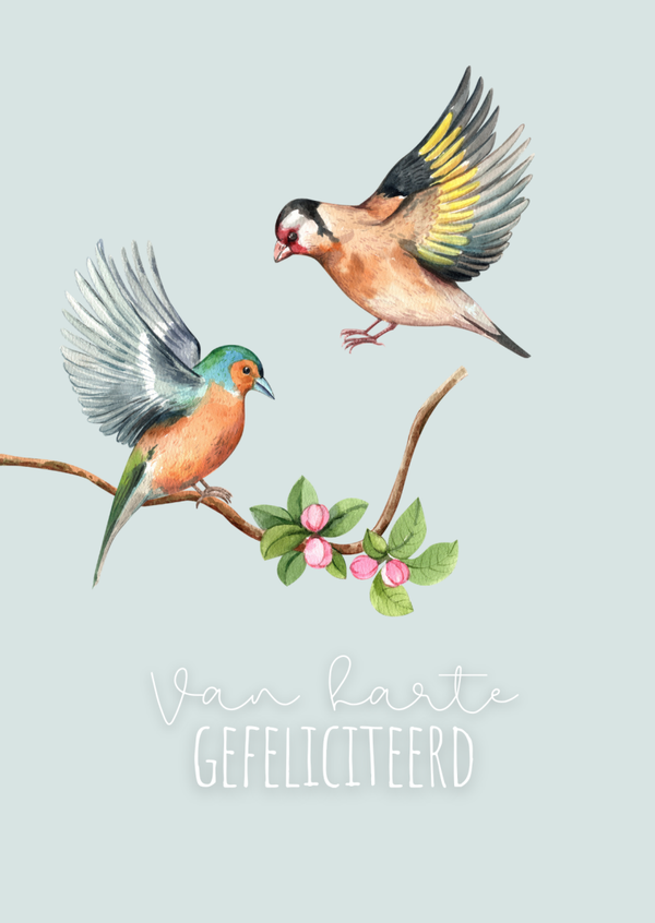 Van harte gefeliciteerd (vogeltjes, blauw)