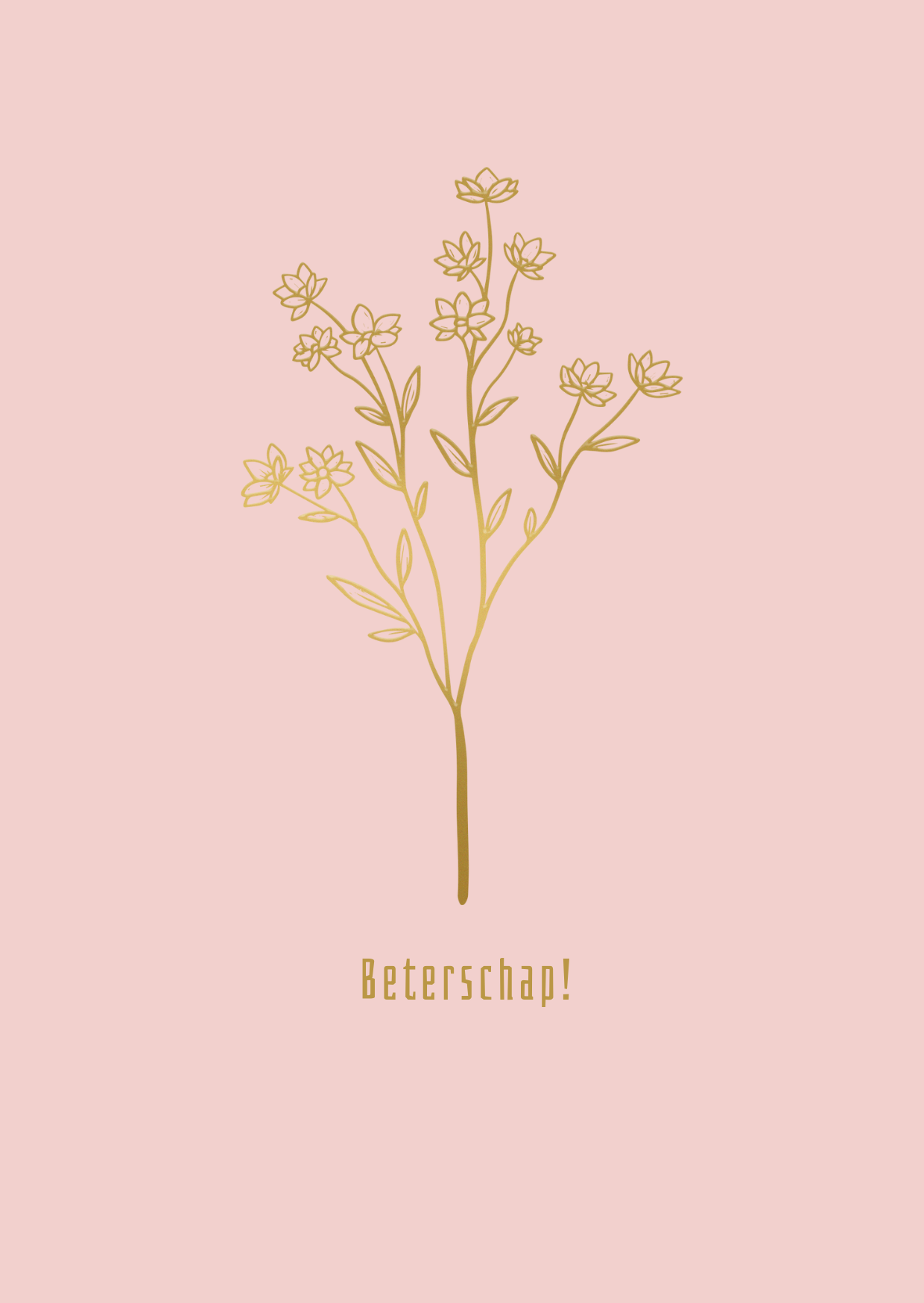 Beterschap! (boeket)