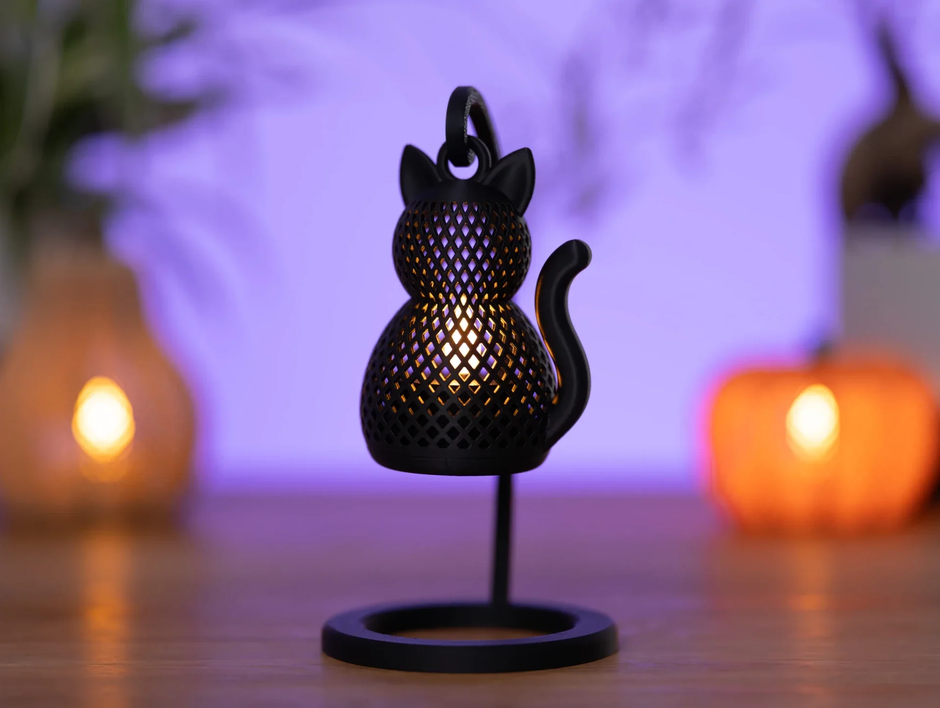 Zwarte kat hangend