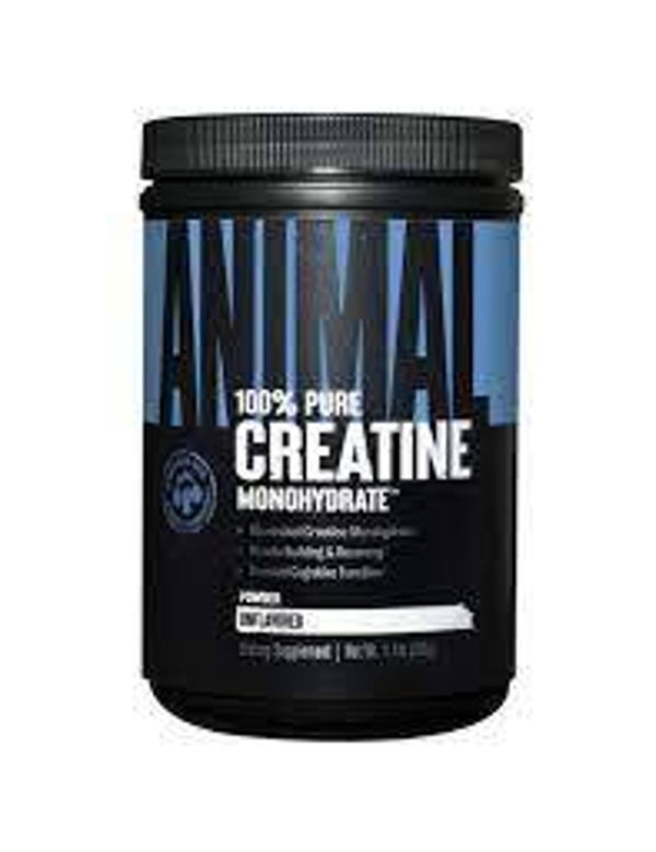 Creatina Animal 500gr