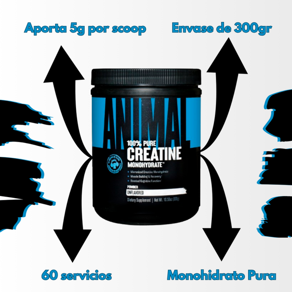 Creatina Animal 300gr