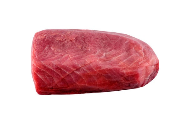 Verse tonijn ( frischer Thunfisch )