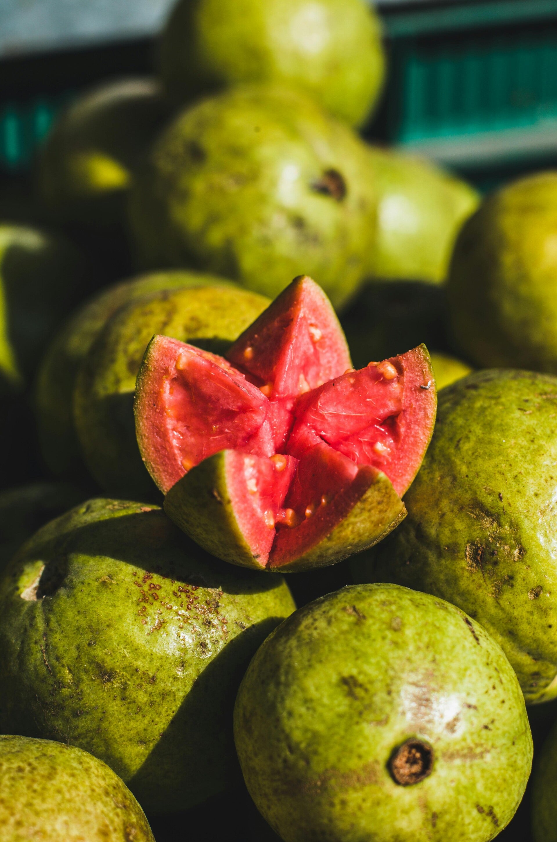 Guava & Cream Cheese