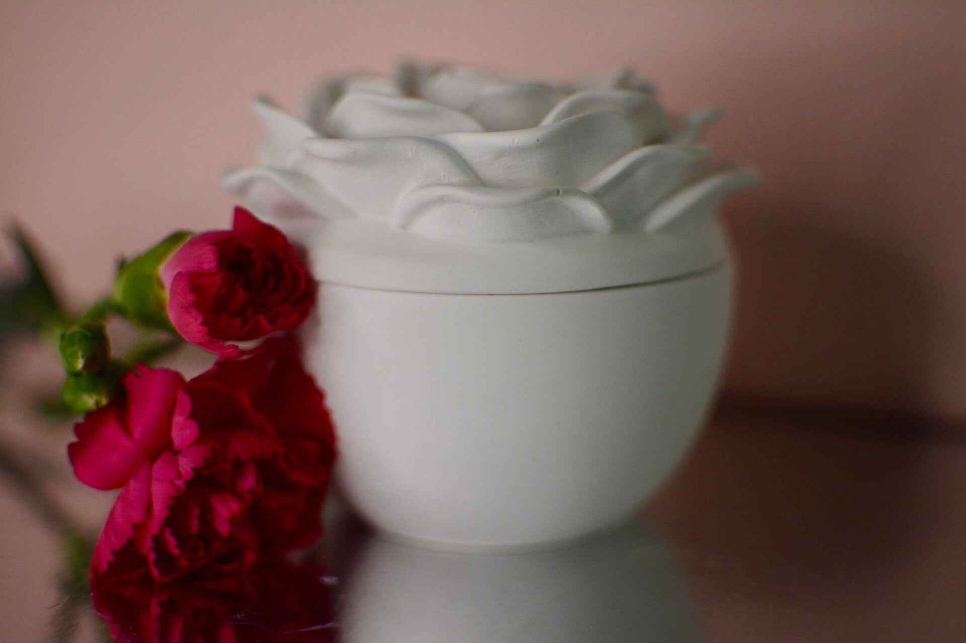Rose potje