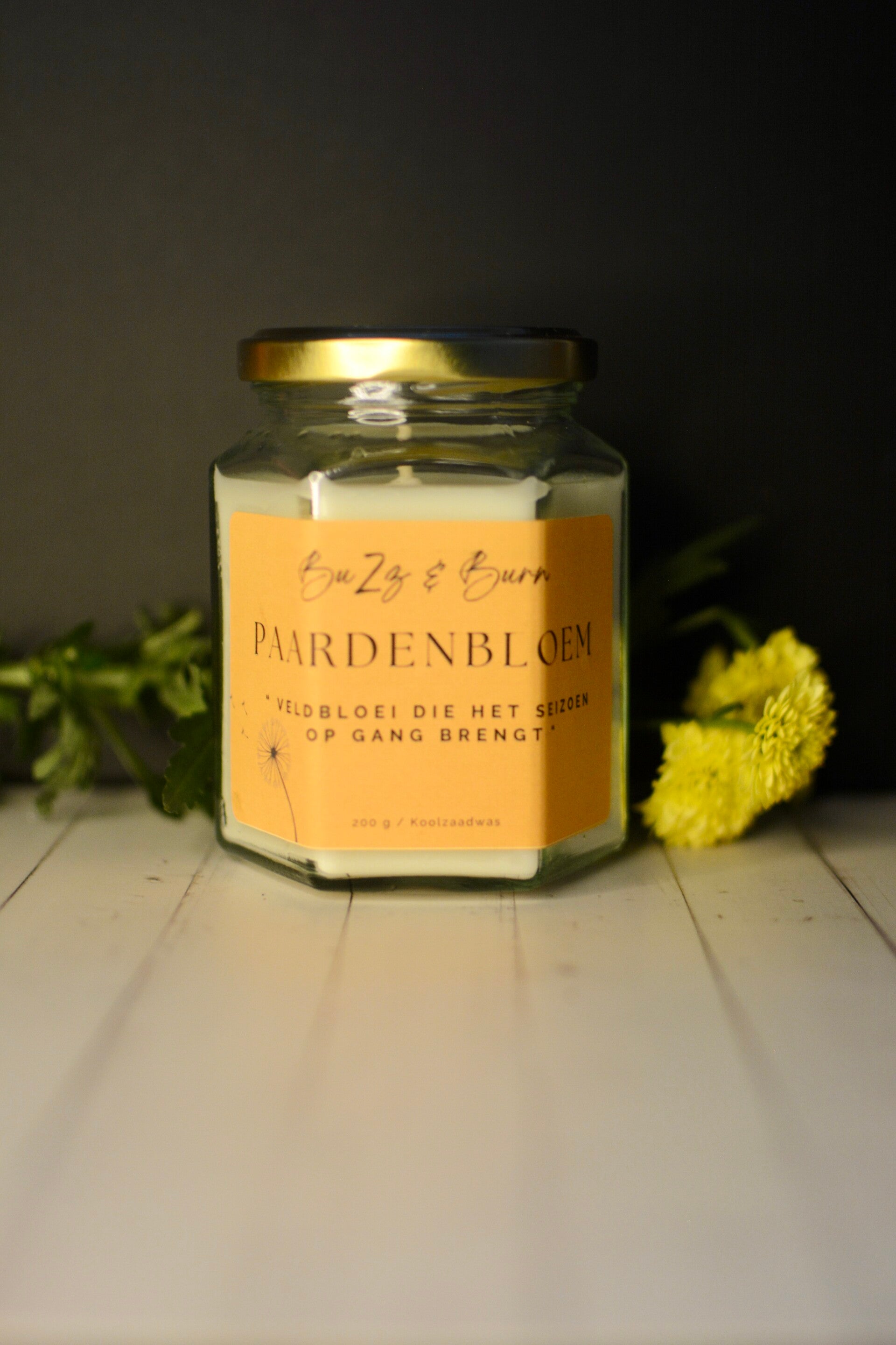 Paardenbloem