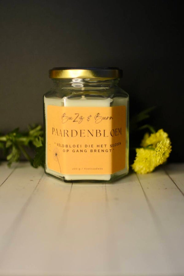 Paardenbloem