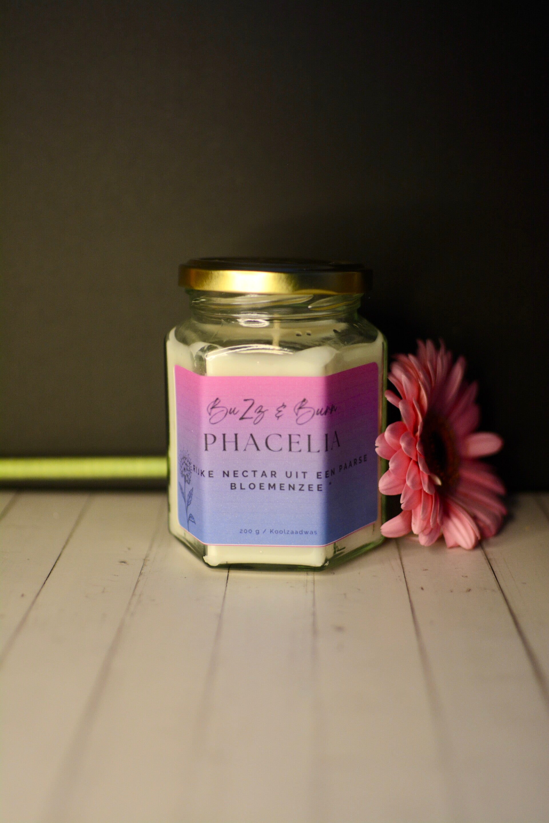 Phacelia