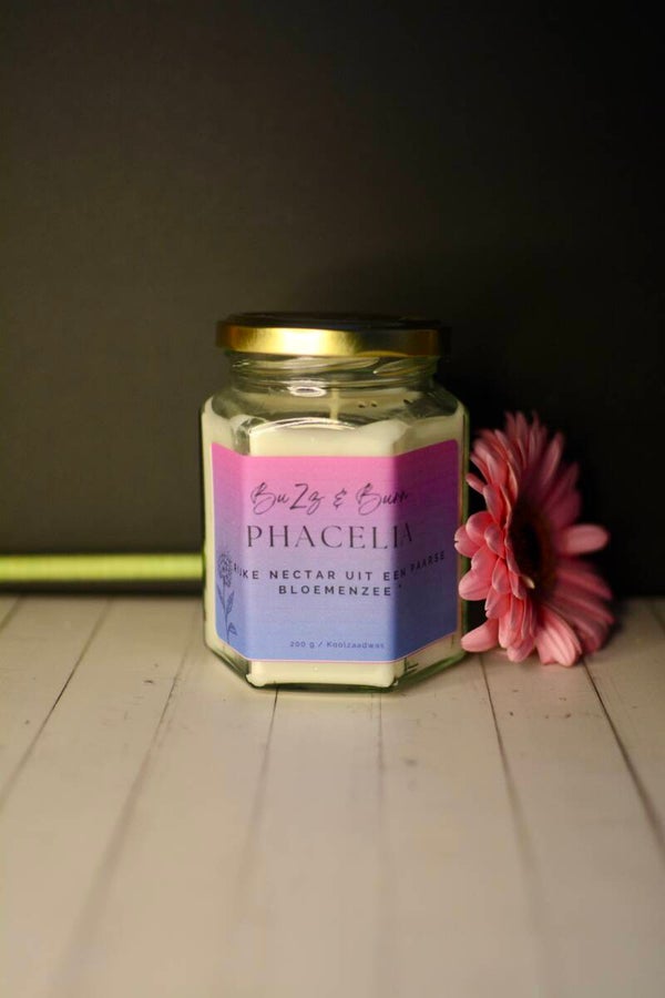 Phacelia