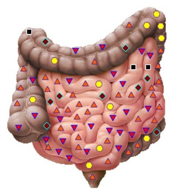 Voedingsmiddelenscan Basis