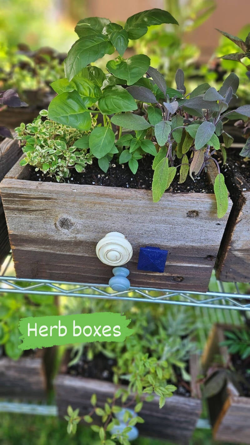 herbbox-standard.jpg