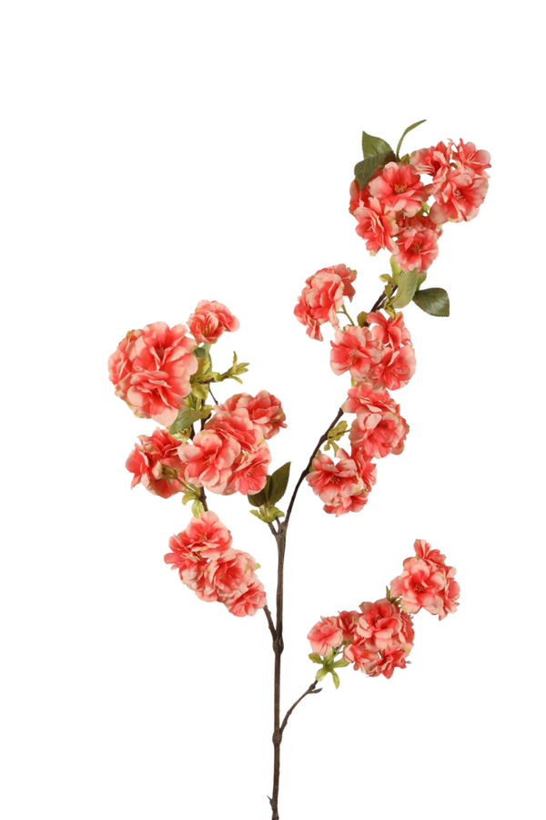 Siertak Cherry Blossom 110 cm