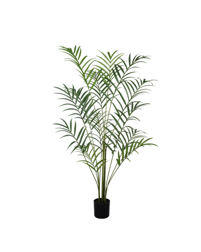 Palm  plant 210 cm