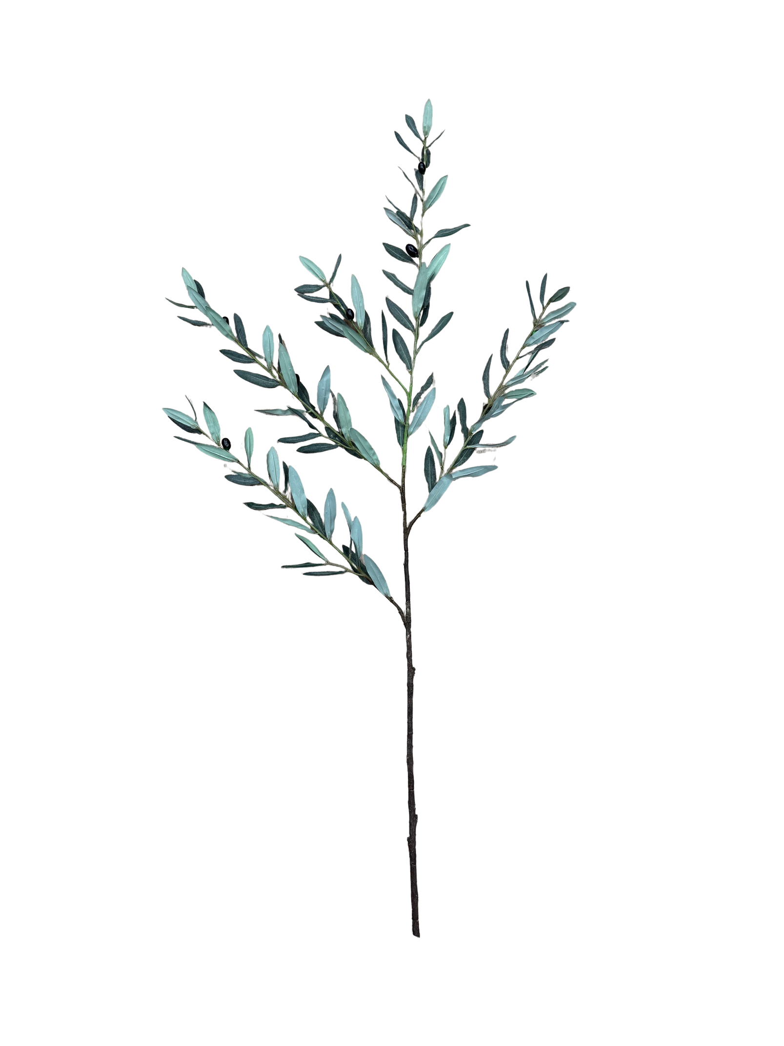 Olijftak 100cm