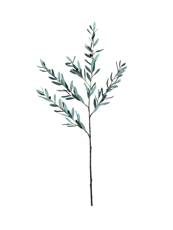 Olijftak 100cm
