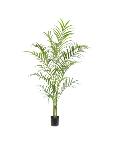 Palm plant 240 cm