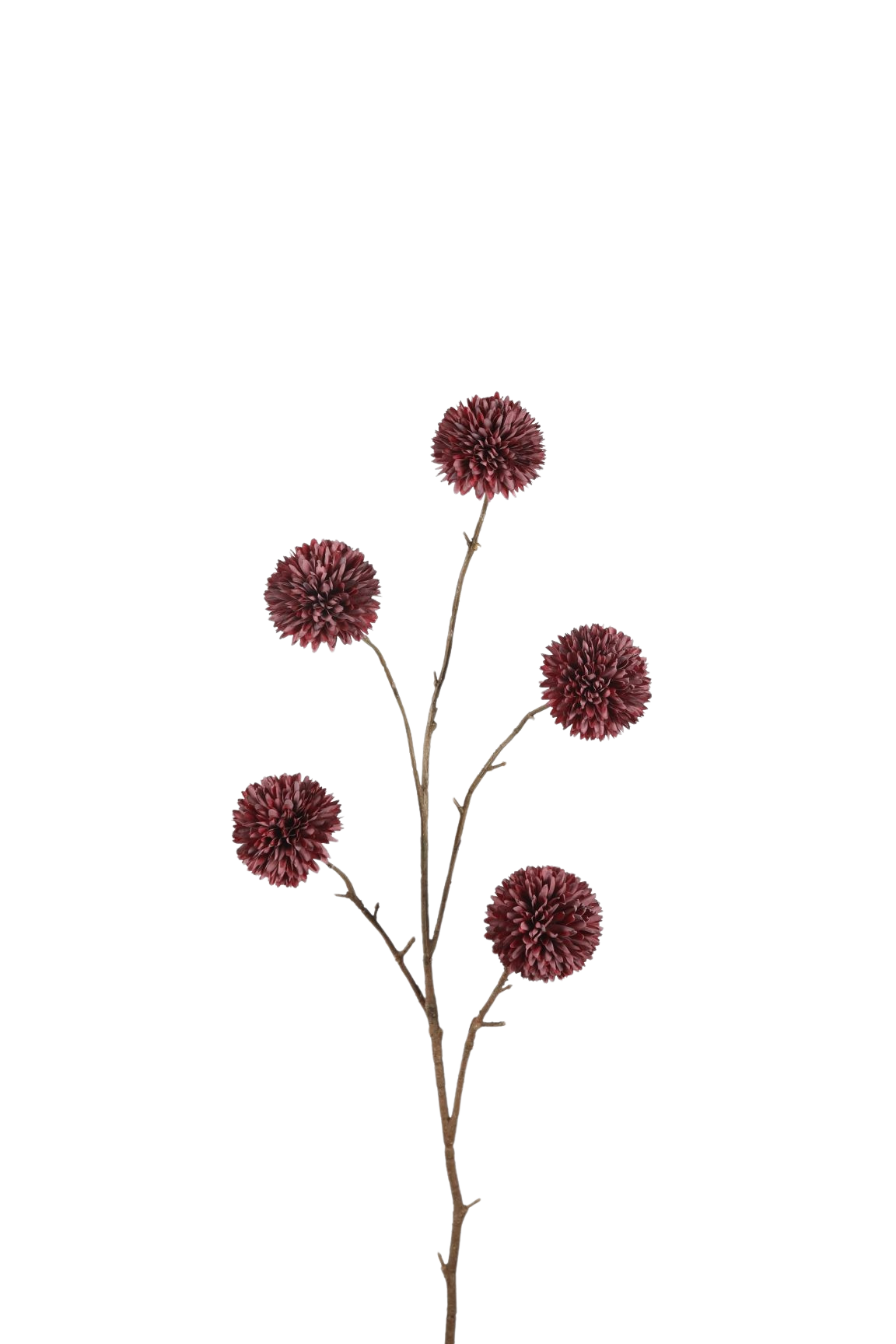 Siertak Pompon Chrysant Burgundy 100 cm