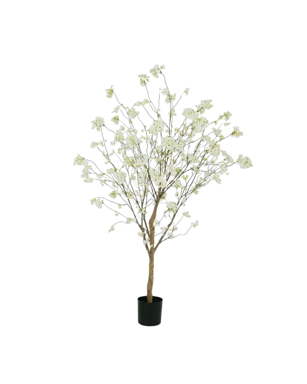 Bloesem boom crème 180cm